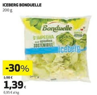 Coop Iceberg offerta