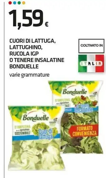 Superconti Insalata offerta