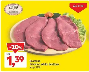 DPiù Carne offerta