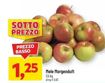 DPiù Mele morgenduft offerta