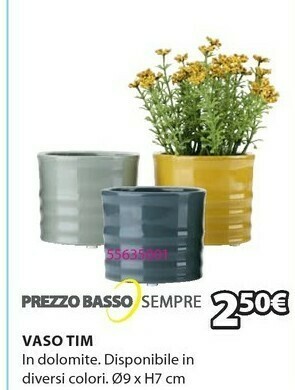 JYSK Piante offerta