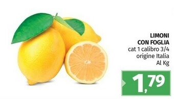 Pam Limoni con foglia offerta