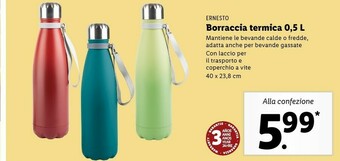Lidl Ernesto borraccia termica 0,5 l offerta