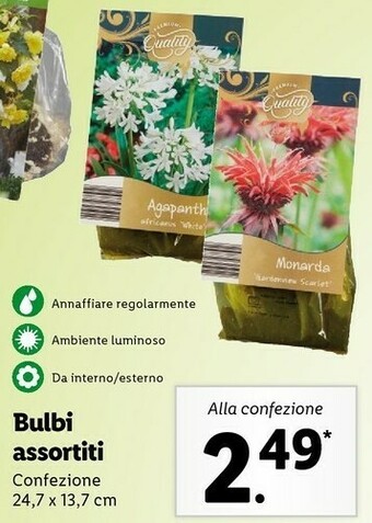 Lidl Bulbi offerta