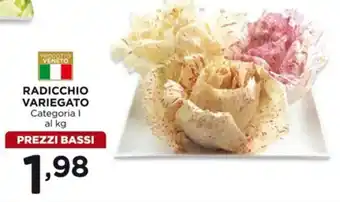 Radicchio Variegato al kg