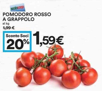 Coop Pomodoro Rosso A Grappolo offerta
