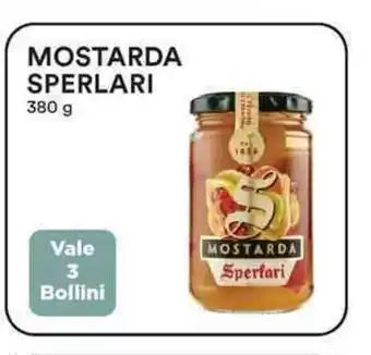 Coop Mostarda Sperlari 380g offerta