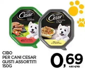 Interspar Cibo per cani offerta