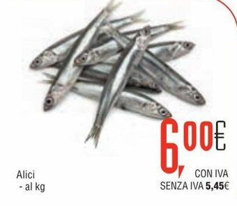 Altasfera Alici offerta
