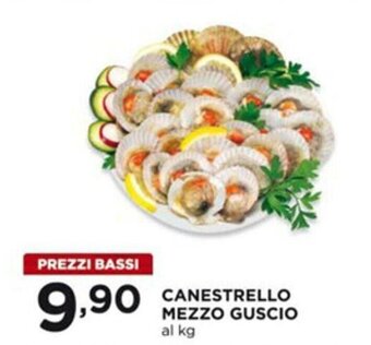 Canestrello Mezzo Guscio