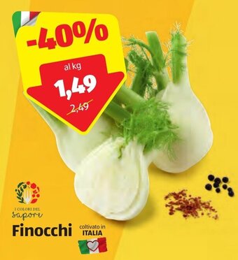 ALDI Finocchi offerta