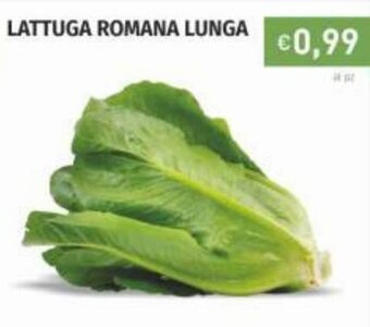 Prezzemolo e Vitale Lattuga Romana Lunga offerta