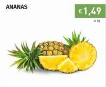 Prezzemolo e Vitale Ananas offerta
