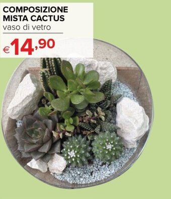Iperal Composizione Mista Cactus offerta