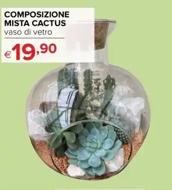 Composizione Mista Cactus