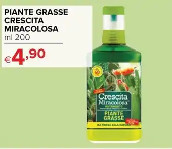 Piante Grasse Crescita Miracolosa 200ml