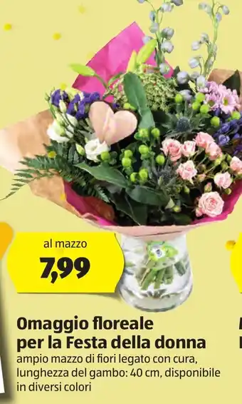 ALDI Omaggio floreale per la Festa della donna offerta