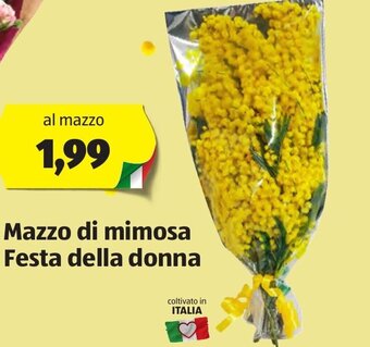 ALDI Mazzo di mimosa Festa della donna offerta