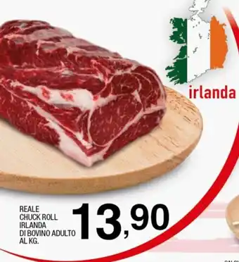 Sigma Reale Chuck Roll Irlanda di Bovino Adulto offerta