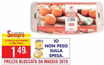 Tigros Primia 10 Uova da Allevamento a Terra offerta