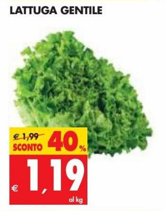 Tigros Lattuga Gentile offerta