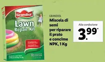 Lidl Grandiol Miscela di semi per riparare il prato e concime NPK, 1kg offerta