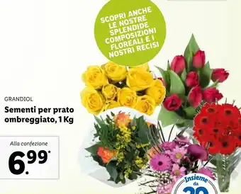 Lidl Grandiol Sementi per prato ombreggiato, 1kg offerta