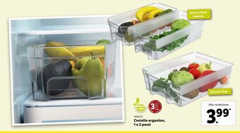 Lidl Ernesto Cestello organizer, 1 o 2 pezzi offerta