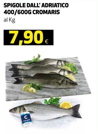 Spigole Dall' Adriatico 400/600g Cromaris