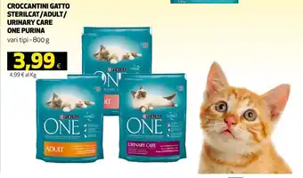 Ipercoop Purina One Croccantini Gatto Sterilcat/Adult/Urinary Care vari tipi 800g offerta