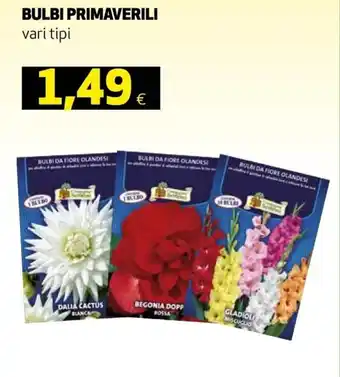 Ipercoop Bulbi Primaverili vari tipi offerta