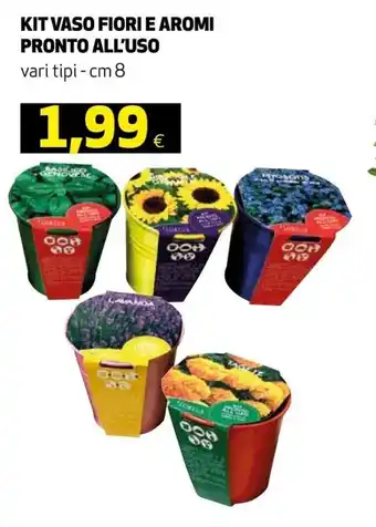 Ipercoop Kit Vaso Fiori e Aromi Pronto All' Uso vari tipi 8 cm offerta
