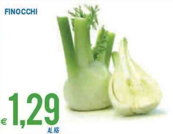 MD Discount Finocchi offerta