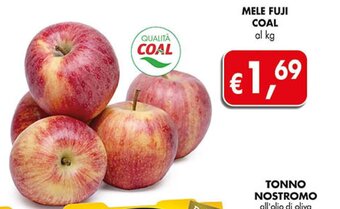 Coal Mele Fuji Coal offerta
