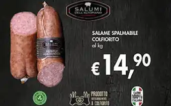 Coal Salumi Salame Spalmabile Colfiorito offerta