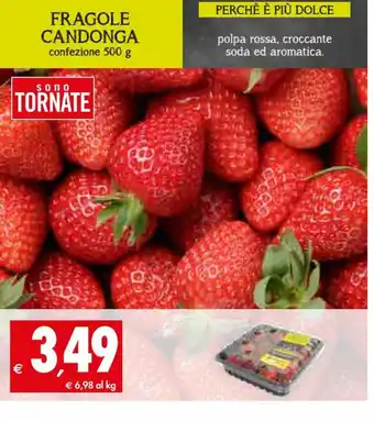 Tigros Fragole Candonga 500 g offerta