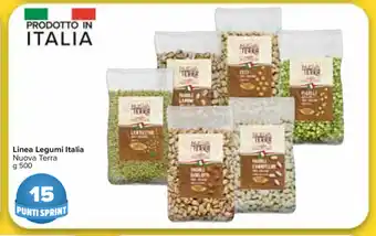 Carrefour Market Nouva Terra Linea Legumi Italia 500g offerta