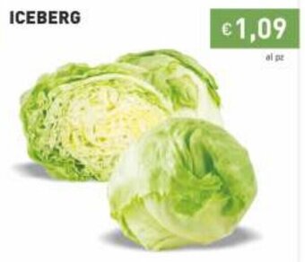 Prezzemolo e Vitale Iceberg offerta