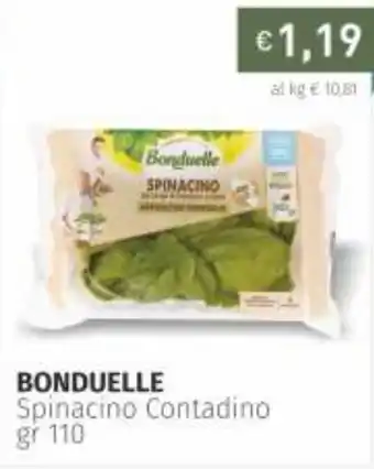 Prezzemolo e Vitale Bonduelle Spinacino Contadino 110gr offerta