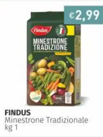 Prezzemolo e Vitale Findus Minestrone Tradizione 1kg offerta