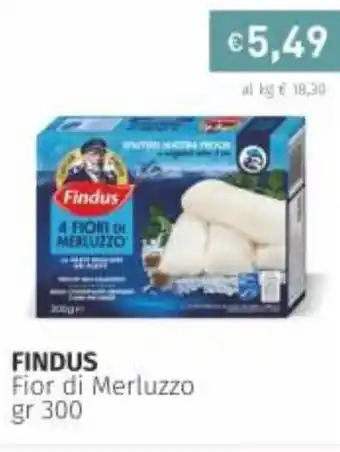 Prezzemolo e Vitale Findus Fior di Merluzzo 300gr offerta