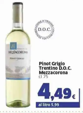 Sigma Mezzacorona Pinot Grigio Trentino D.O.C. cl 75 offerta