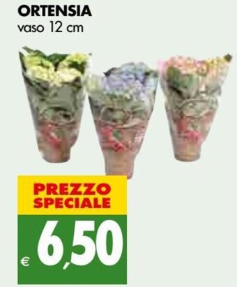 Tigros Ortensia vaso 12 cm offerta