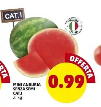 PENNY Mini Anguria Senza Semi Cat.l offerta