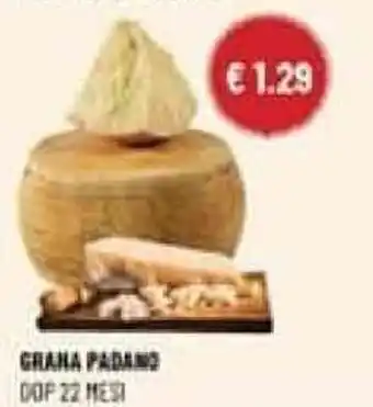 Grana Padano Dop 22 mesi