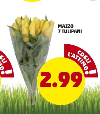 Mazzo 7 Tulipani