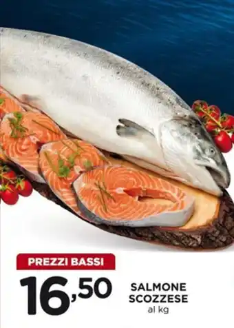 Alì Supermercati Salmone Scozzese offerta