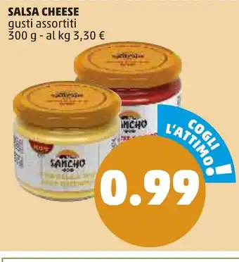 PENNY Sancho Salsa Cheese 300g offerta