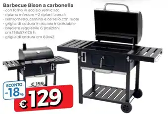DPiù Barbecue Bison a carbonella offerta