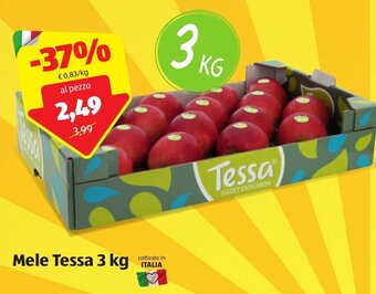ALDI Mele Tessa 3 kg offerta